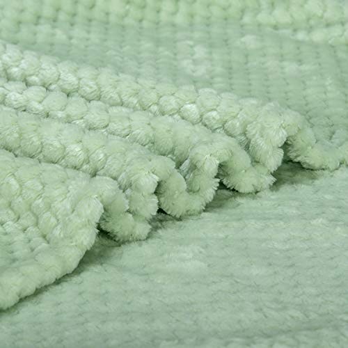Image of Warm Soft Fuzzy Dog or Cat Blanket, Plush Fleece Throws for Bed, Couch, Sofa, Travel (M /32 inch x 40 inch, Mint)