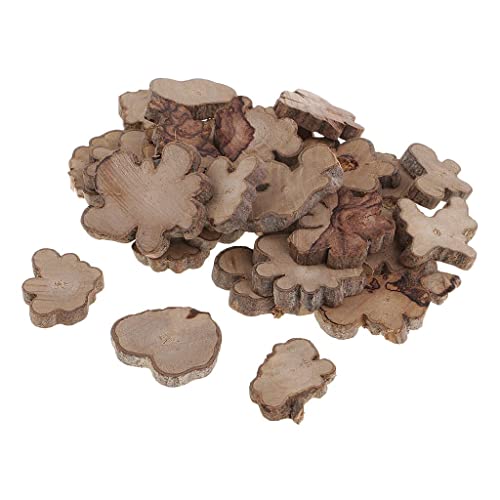 30Pcs Irregular Wood Log Slices Natural Tree Decorative Embellishments #TOP7