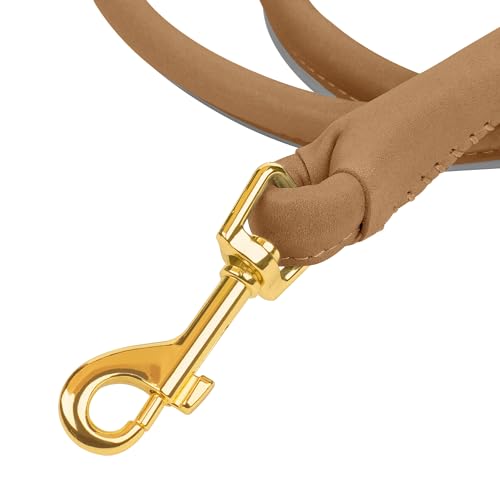 Laisse réfléchissante en cuir durable OOPSDOGGY pour chien L