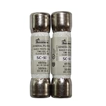 SC-30 30 Amp Class G Time Delay Fuse 2 Pack QSU