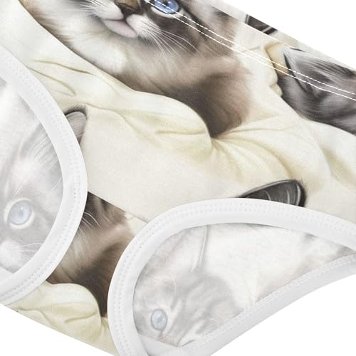 Cute Kittens Cream Toddlers Underwear Floral 2t Cotton Little Girl Panties Fancy Briefs Undies Kids4