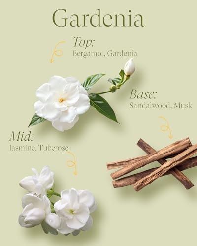 Image of M&SENSE 2 Wicks Gardenia Scented Candle 12oz | Soy Wax, Natural, Floral Scent, Spring