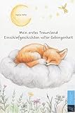 Mein erstes Traumland Einschlafgeschichten voller Geborgenheit: Einschlafgeschichten & Vorlesegeschichten ab 0–2 Jahren – kurze, liebevoll ... Geborgenheit, ideal für die Abendroutine