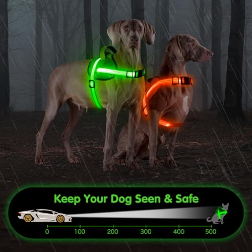 Light Up Hundegeschirr, No-Pull Led Hundegeschirr Wiederaufladbar, Reflektierend Leuchtgeschirr für Hunde, Einstellbar & Komfort Gepolstert für Sicherheit beim Nachtspaziergang (Grün, L)