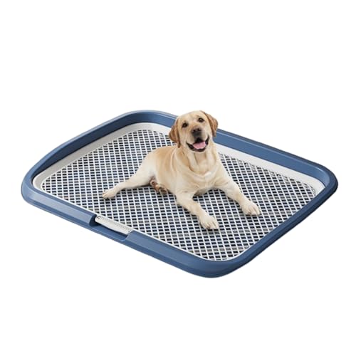 犬 トイレ メッシュ ワイド 大型犬 ワイド いたずら防止 カバー 大きい 足が濡れない レギュラー 抗菌 犬用小便器 (ブルー,65*50*6.5cm)