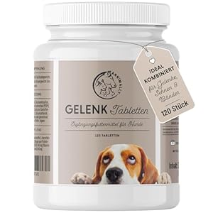 Gelenktabletten für Hunde mit MSM, Grünlippmuschel, Teufelskralle, Glucosamin & Hyaluron – 120 Gelenke Tabletten für Hunde – Hohe Akzeptanz beim Hund durch kleine Tabletten