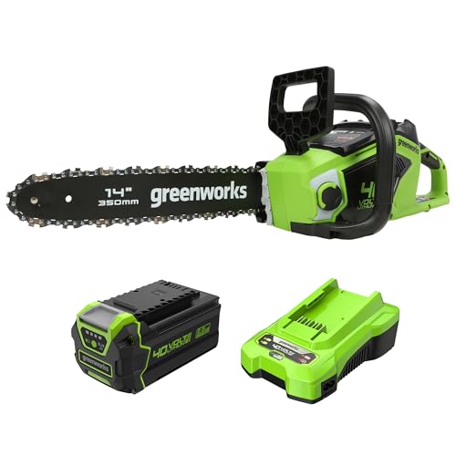 Bundle of Greenworks Tronçonneuse à Batterie avec Moteur Sans Balais, Longueur du Guide-Chaîne de 14-Pouces (35 cm) + Batterie Lithium-Ion 5Ah Charge Rapide + 40V 2Ah Chargeur de batterie