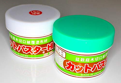 Japanese Bonsai Tree cut paste 1 of Each