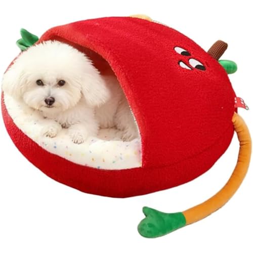 OGXN xbh Q ی^ 킢t[č` ~ߒ ړI zc _炩 ݍ ybg}bg 􂦂 ȒP  L  ^ ۉh ΍ ʔNp\ (M,t)