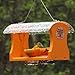 Birds Choice Oriole Bird Feeder | Hanging Bird Feeder for Jelly & Orange Halves | Includes Cup & Fruit Pegs | Recycled Plastic | Sturdy for Garden, Backyard, & Outdoor | 2 Cup Capacity, Orange