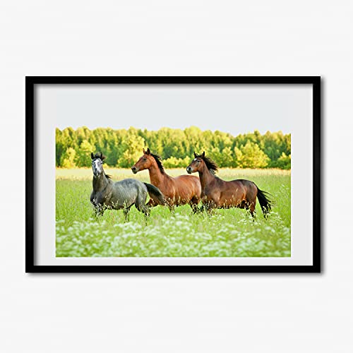 Affiche chevaux au galop 60x40 pour une ambiance nature