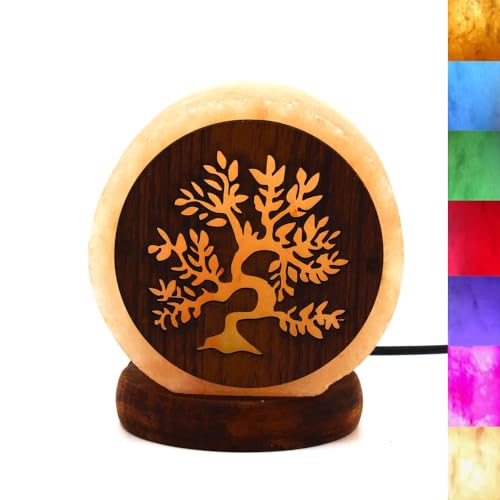 PLUS HOME Lámpara de Sal del Himalaya Natural 8.5 x 10 cm,LED Multicolores,100% Hecha a Mano con Propiedades Terapéuticas,Ayuda para dormir,Perfecto Para Decoracion Hogar