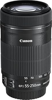 Canon EF-S 55-250 mm F4 5-5.6 IS STM Lens : Amazon.co.za