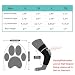 Poo4kark Fußheber mit Rolle (Keine Knöchelstütze) für Hunde. Korrigierende Hundeschuhe zum sicheren Anheben der Zehen bei Fußproblemen zur Verbesserung des Gangs bei Hunden. (Black, S)