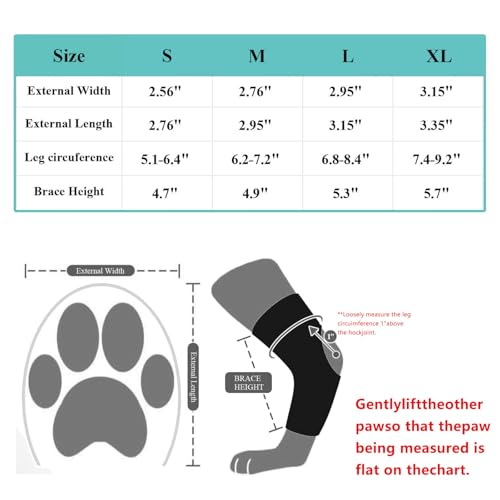 Poo4kark Fußheber mit Rolle (Keine Knöchelstütze) für Hunde. Korrigierende Hundeschuhe zum sicheren Anheben der Zehen bei Fußproblemen zur Verbesserung des Gangs bei Hunden. (Black, S)