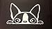 Peeking Boston Terrier (A14) Vinyl Decal Sticker Car/Truck Laptop/Netbook Window