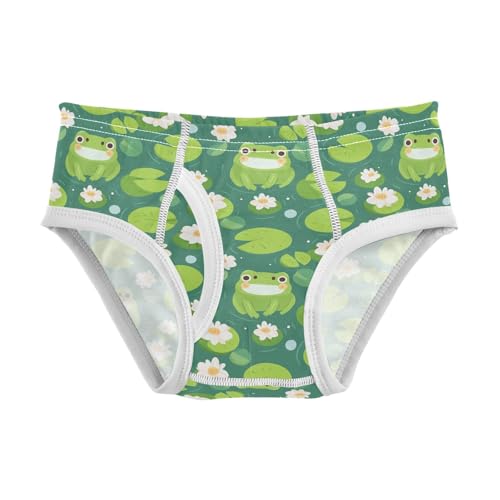 visesunny Boys Potty Training Underwear Pond Flower Frog Pattern Breathe Cotton Briefs Size 2T-8Y for Toddler