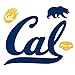 Fathead California Golden Bears Logo Wall Decal