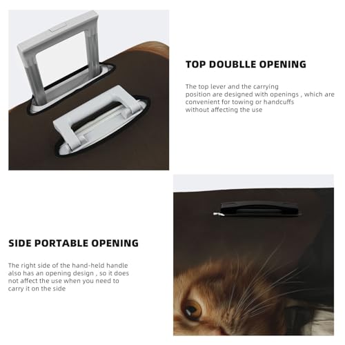 Orange Cat As Gentleman Elastic Travel Luggage Covers Dustproof Scratch-Resistant Suitcase Protector Fit 22-24 Inch3