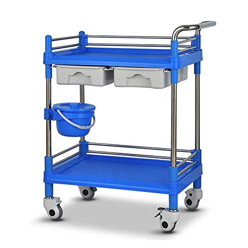 YASEking Trolley On Wheels Tool 2 Tier Mobile SPA Trolley winkelwagen met laden & vuilemmer, Universele wiel…
