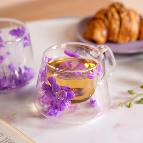 Image of Nestasia Double Wall Glass Mug with Dried Flowers Set of 2 (180ml Each) - Transparent Borosilicate Floral Glass Tea Cups | Lightweight & Durable Coffee Mugs - Perfect for Gifting (Purple)