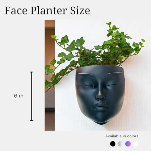 Image of Ceramic Lady Face Wall Hanging Planter (7 Inches, Black)| Abstract Oval Face Vase for Indoor Plants | Succulent Planter for Living Room, Balcony & Office Decor | Aesthetic Home Decor Gift