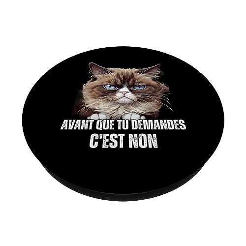 Humour chat avant que tu demandes c'est non mème PopSockets PopGrip Interchangeable – vue 2