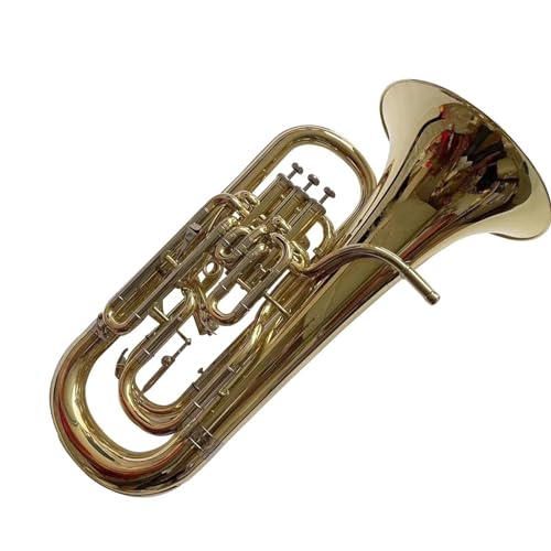 S [tHjA S[hbJ[dグ B󒲗 3sXggK[[tHjA