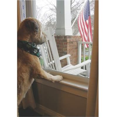 window sill covers for dogs