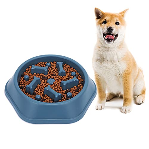 Gamelle pour chien à alimentation lente et amusante - Antidérapante - Pour chiots et chiens de taille moyenne - Bleu Cover