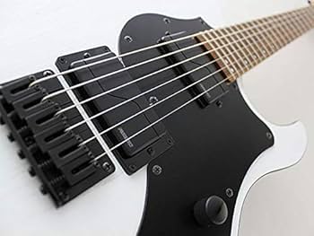 Amazon | FUJIGEN JIL2-ASH-DE664-G/01 OPW エレキギター フジゲン