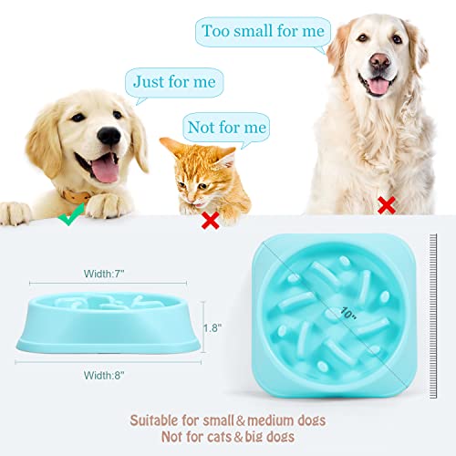 Jasgood Dog Feeder Slow Eating Pet Bowl Eco-Friendly Durable Non-Toxic Preventing Choking Healthy Design Bowl For Dog Pet Stop Bloat Bowl #TOP2