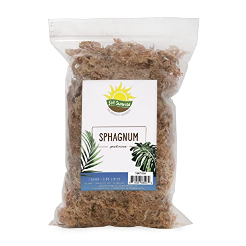 The Best Sphagnum Moss Top 12 Picks in 2022 BNB