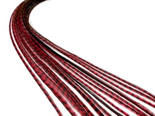 4 Pieces - Phoenix Blendz Ombre Thin Long Whiting Farm Rooster Hair Extension Feathers Summer Craft Supply | Moonlight Feather