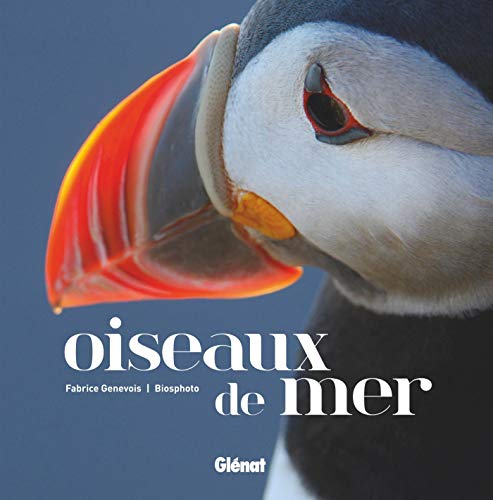 Télécharger Oiseaux de mer livre En ligne