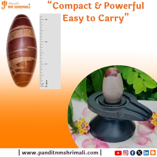 Image of PANDIT NM SHRIMALI Narmadeshwar Shivling Stone 3 Inch | Shiv Lingam Banalinga from Narmada River | Shivalingam for Jal Abishekam, Vastu Remedy, Pooja, Home, Office & Spiritual Healing
