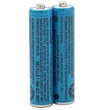 Cerepros 2-Pack N4DHYYY00020 1.2V 300mAh Ni-MH AAA Size Replacement Rechargeable Battery Packs for H