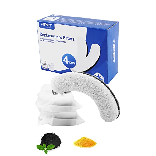 Cat Filter The 15 best products compared Wild Explained