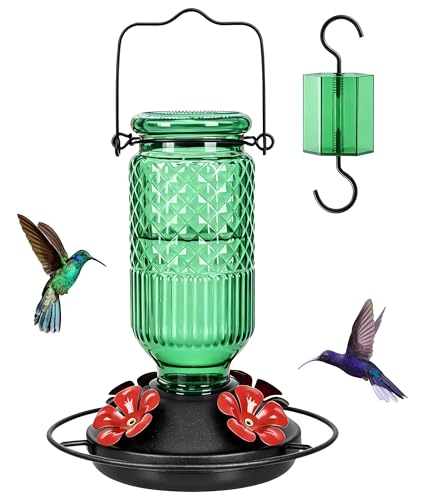 Image of FEED GARDEN Glass Hummingbird Feeder, 16oz Outdoor Hanging Bird Feeder with Ant Moat, 4 Bee-Proof Feeding Ports, 360 Perch, Leak-Proof, Green