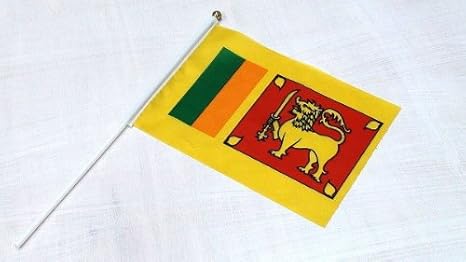 Amazon Co Jp 手旗 スリランカ 手旗 国旗 スリランカ 世界 ミニ 国旗 手旗 おもちゃ