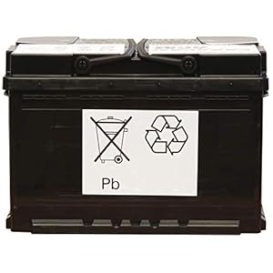 Batteria AGM 12v 100Ah Electronicx Caravan Edition V2 batteria solare accumulatore 12v batterie solari 12v alimentazione batteria batteria 12v agm caravan batteria camper gel batteria 12v accumulatore - immagine 6