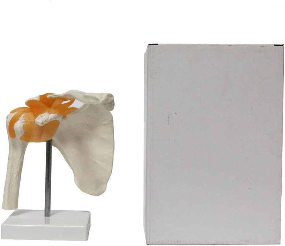 aespa 11/9 代々木 CD 購入特典 トレカ ウィンター ジゼル 5枚 aespa