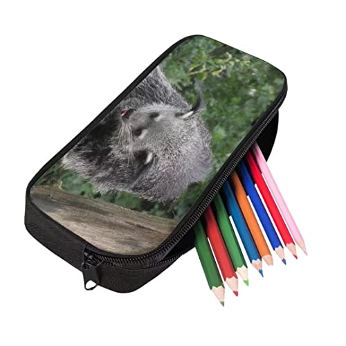 Beauty Collector Binturong Backpack Set for Girls Kids, Animal School Bag Lunch Bag and Pencil Case for Boys4