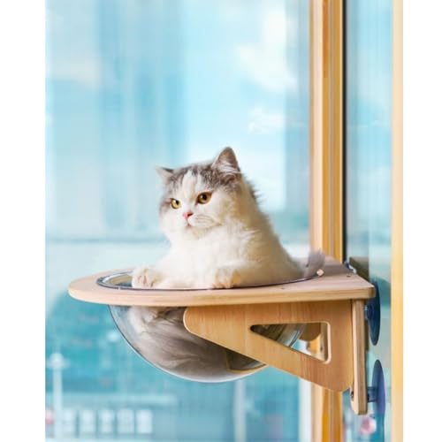 tangcheng Lxbh nbN LbgEH[N pnbN zՎ FD  XgX y ܂Ƃ th[^ gȒP tȒP O\ Lbg lGp ʋC  ω׏d15kg (40*40*15