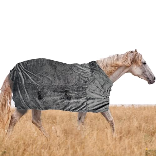 Couverture d'hiver chaude pour cheval qui transpire au pré en hiver