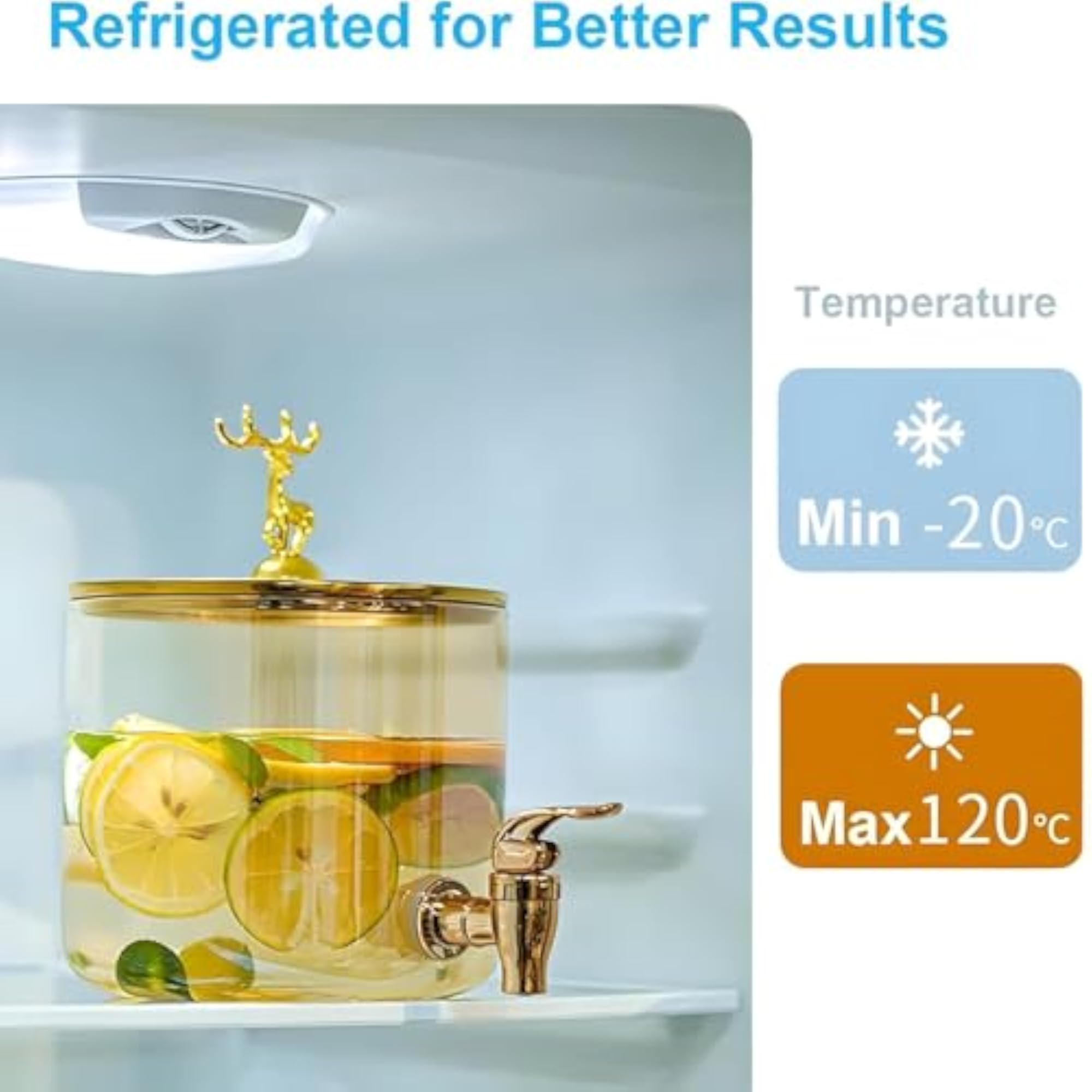 3 LTR Borosilicate Glass Detox Water Jug