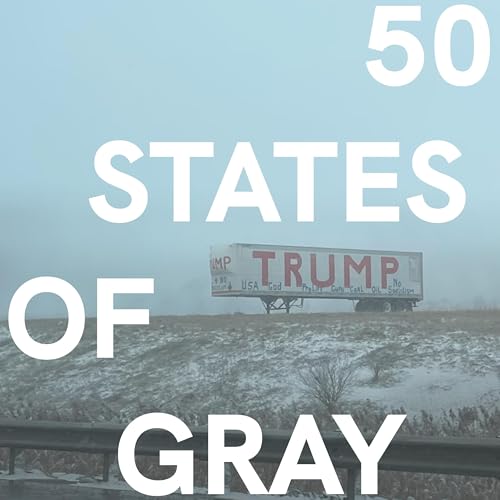 50 States of Gray - Wie Amerikaner gegen den Sog der Polarisierung kämpfen cover art
