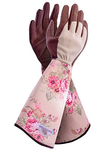 Gardengirl RR02L Grande Classico Rose Modello