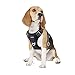 Funfox Hundegeschirr Mittelgroße Hunde Anti Zug Hundegeschirr für Große Hunde Verstellbar No Pull Geschirr Hund Atmungsaktiv Brustgeschirr Hunde Geschirrset Mittlere Hunde Dog Harness Schwarz M