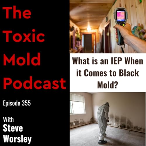 EP 355: What is an IEP When it Comes to Black Mold?